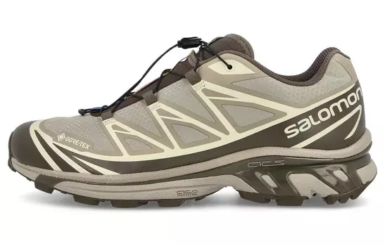 XT-6 GORE-TEX «Винтажный хаки» Salomon
