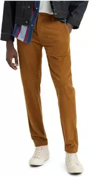 XX Стандарт Чино Levi's, цвет Monks Robe 14W Cord Garment Dye