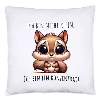 Я не маленькая, я подушка-белка-концентрат, включая наполнитель, размер тела, толщина Hey!Print