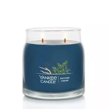 Yankee Candle Bayside Cedar 13 унций. Фирменная средняя банка для свечей