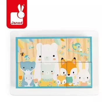 Янод, 6в1 Чистая головоломка Janod