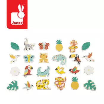 Янод, Набор из 24 магнитов Тропик 2+. Janod