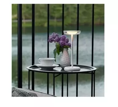 Яркая лампа Platon LED настольная лампа для улицы 27см белый/прозрачный алюминий черный 2 Вт встроенный светодиод BRILLIANT