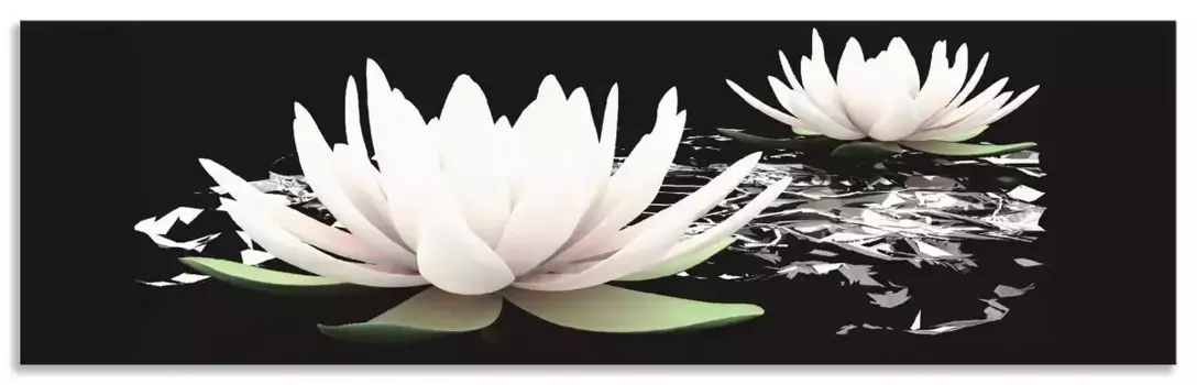 Задняя стенка для кухни Artland "Два цветка лотоса на воде", (1 шт.), брызговик алюминий на клейкой ленте, легко монтируется 60х50 см, черный