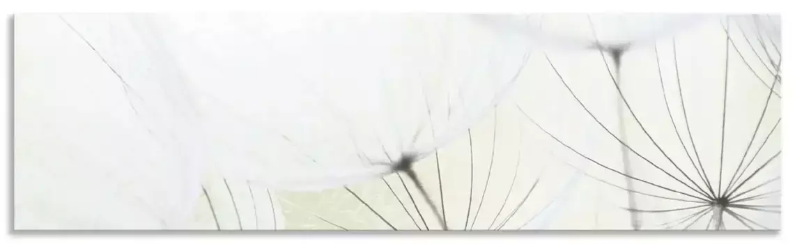 Задняя стенка для кухни Artland "Семена одуванчика осветленные", (1 шт), брызговик алюминий на клейкой ленте, легко монтируется 90х60 см, зеленый