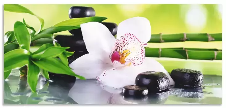 Задняя стенка для кухни Artland "Spa Stones Bamboo Branches Orchid", (1 шт.), алюминиевый брызговик с клейкой лентой, легко устанавливается 110х50 см, зеленый