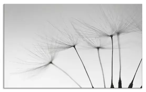 Задняя стенка кухни Artland "Семена одуванчика I", (1 шт.), алюминиевый брызговик с клейкой лентой, легко устанавливается 100х55 см, серый