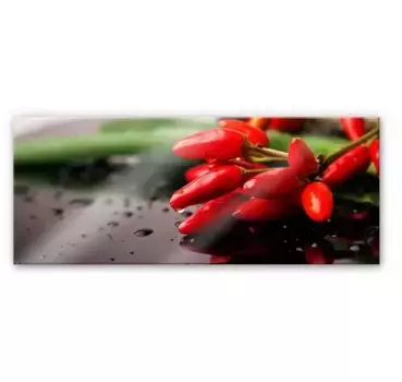 Задняя стенка кухни Wall-Art "Экзотическая резкость Панорама", (1 шт.), защита стенки кухонной мойки 100х40 см, цвет bunt