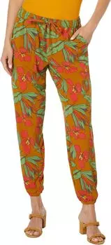 Загорелые джоггеры Toad&Co, цвет Kelp Aloha Print