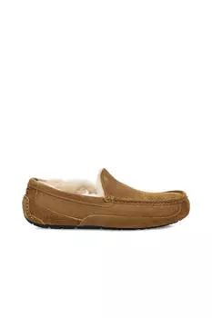 Закрытые замшевые тапочки Ascot. Бренд УГГ Ugg, коричневый