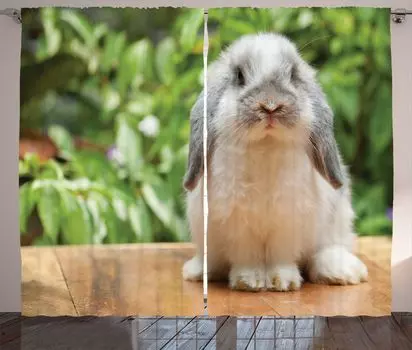 Занавеска ABAKUHAUS Bunny в деревенском стиле, фотография Holland Lop Rabbit, ленточная занавеска с рюшами для спальни, петлями и крючками, 280 x 175 см, разноцветная