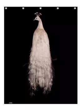 Занавеска для душа Juniqe, цвет cremewei & schwarz