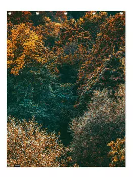 Занавеска для душа Juniqe, цвет grn & orange