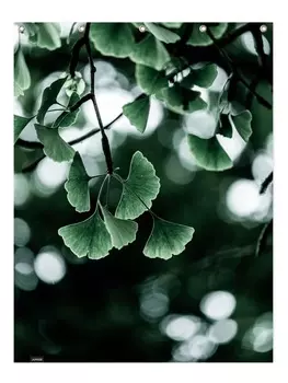 Занавеска для душа Juniqe, красочный