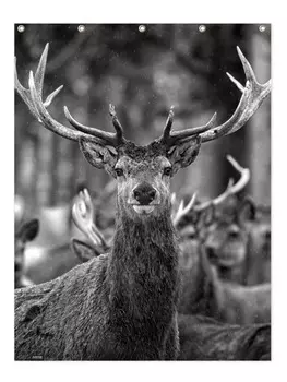 Занавеска для душа Juniqe, красочный