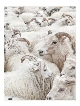 Занавеска для душа Juniqe, красочный