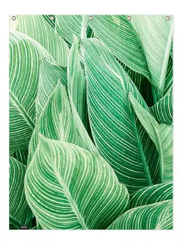 Занавеска для душа Juniqe, зеленый