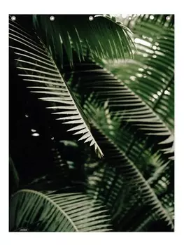 Занавеска для душа Juniqe, зеленый