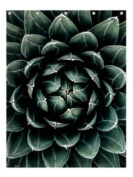 Занавеска для душа Juniqe, зеленый