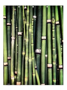 Занавеска для душа Juniqe, зеленый