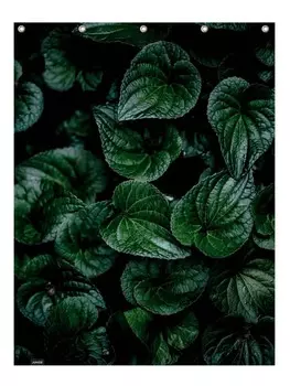 Занавеска для душа Juniqe, зеленый