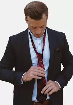 Запонки SET - Tie Massi Morino, цвет Paisley Weinrot