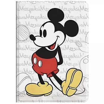 Защитный чехол Disney Flat Plate, pbsb029H