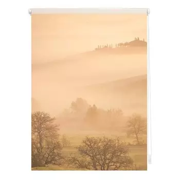 Затемняющие рулонные шторы Lichtblick Toskana, 80x150x6 см цвет orange/braun