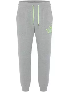 Зауженные брюки Chiemsee, светло-серый