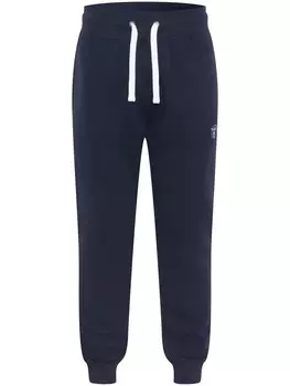 Зауженные брюки Chiemsee, темно-синий