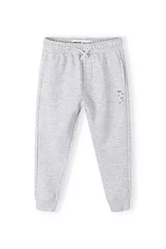 Зауженные брюки Minoti, серый