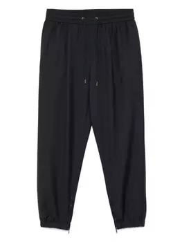 Зауженные брюки Peserico, синий