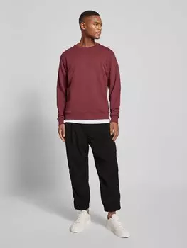 Зауженные брюки со складками и эластичным поясом Drykorn, черный