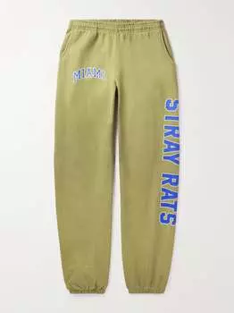 Зауженные спортивные штаны из хлопкового джерси с логотипом Miami STRAY RATS, зеленый