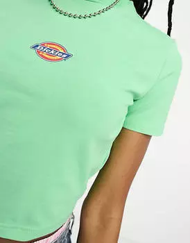 Зеленая футболка для малышей Dickies Maple Valley