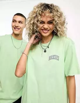 Зеленая футболка с логотипом на левой груди Dickies aitkin