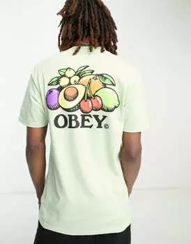 Зеленая футболка с принтом на спине Obey