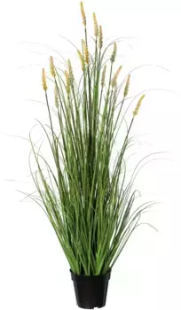 Зеленая искусственная трава Creativ "Grassbusch Pennisetum" Creativ green 18х95х18 см, зеленый