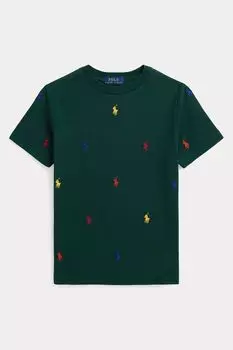 Зеленая сетчатая футболка для мальчиков с логотипом Polo Ralph Lauren, зеленый