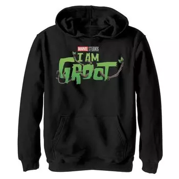 Зеленая толстовка с логотипом Marvel I am Groot для мальчиков 8–20 лет Licensed Character