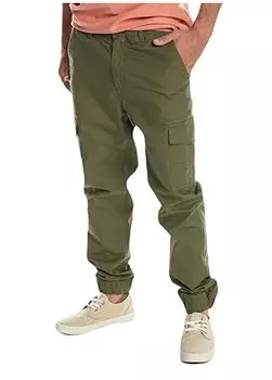 Зеленые мужские брюки для активного отдыха EQYNP03296_MW CARGO с манжетами Quiksilver