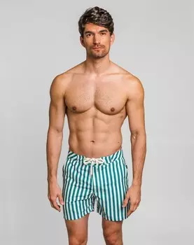 Зеленые мужские шорты-бермуды Skydiver, зеленый