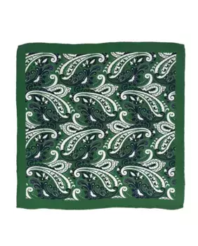 Зеленый шарф из натурального шелка с принтом пейсли Victorio & Lucchino