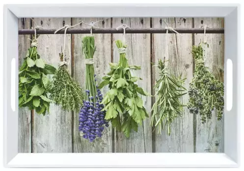 Zeller Present Поднос "Травы", (1 шт.) 35х50 см, цвет bunt