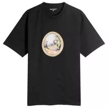 Зеркальная футболка Carhartt Wip, черный