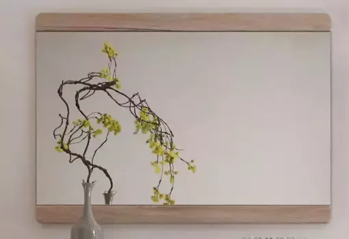 Зеркало для дома "Модена", с закругленными углами Home affaire 90х64х2 см, цвет eichefarben