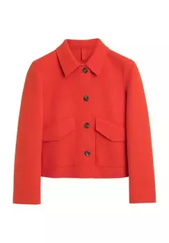 Жакеты, воротники блузок, женские CINQUE, оранжевый