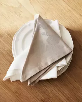 Жаккардовые салфетки с цветочным рисунком (2 шт. в упаковке) Zara Home, тауп-коричневый