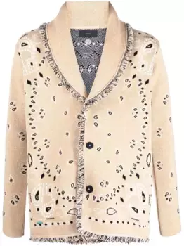 Жаккардовый кардиган с принтом Alanui, нейтральный
