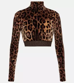 Жаккардовый укороченный топ с леопардовым принтом Dolce&Gabbana, коричневый